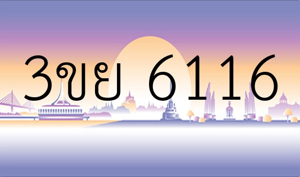 3ขย 6116